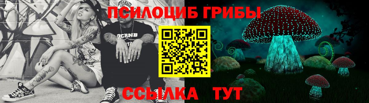 Псилоцибиновые грибы Psilocybe Ялуторовск